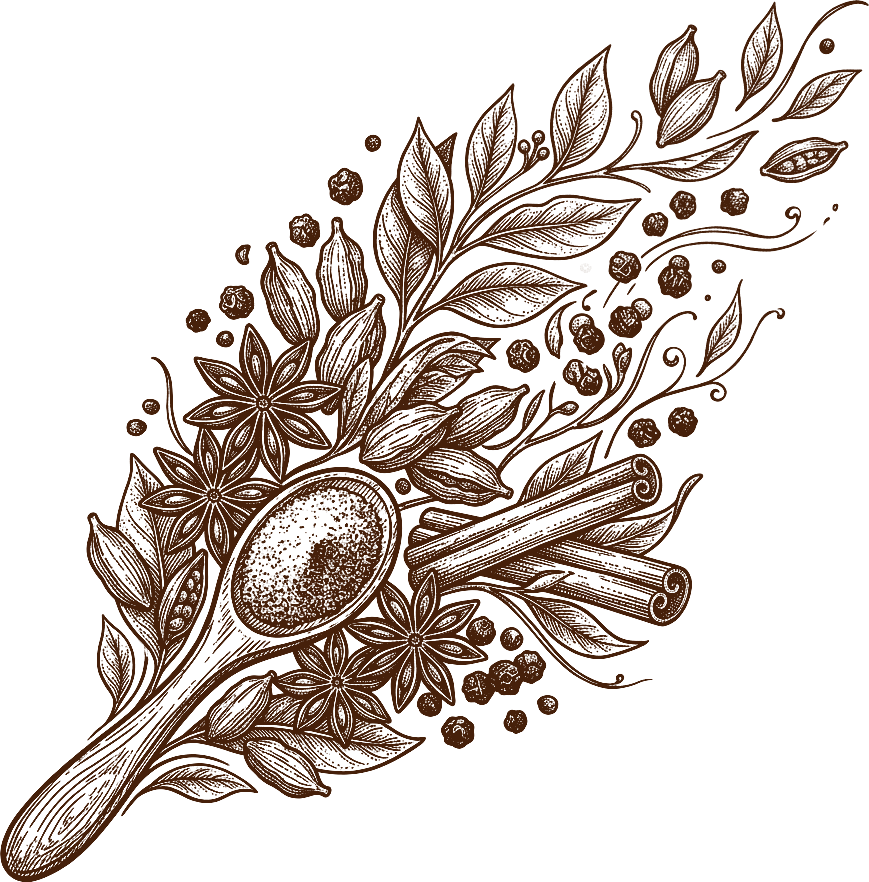 Hand-drawn botanical spices sketch